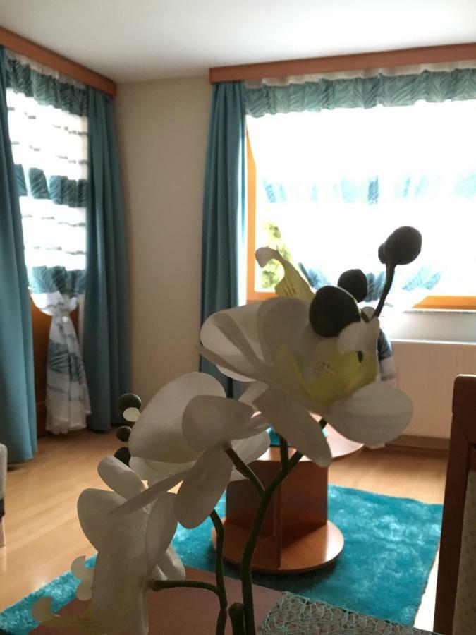 Orchidea Apartman Hegykő 外观 照片