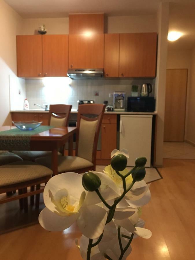 Orchidea Apartman Hegykő 外观 照片